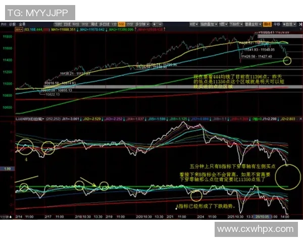 深圳篮球队技术分析：从战术布局到球员配合的全景解读